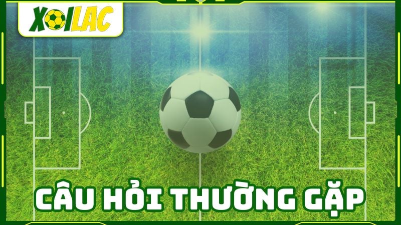 Hướng dẫn xem kết quả bóng đá trực tiếp
